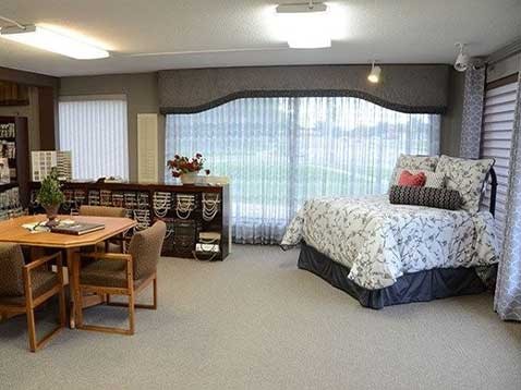 Store interior showcasing window coverings, lighting, and bedspreads